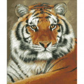 Тигр Паутинка М305