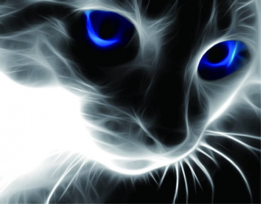 Синие глаза Цветной LG016, цена 2 592 руб. - интернет-магазин Мадам Брошкина