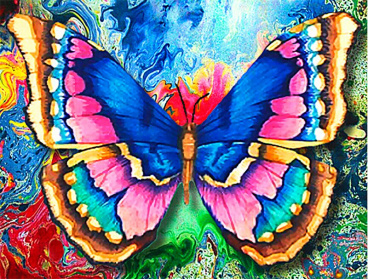 Рисунок бабочки Алмазная живопись АЖ.1130, цена 1 669 руб. - интернет-магазин Мадам Брошкина