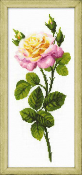 Дивный цветок Риолис 1331, цена 576 руб. - интернет-магазин Мадам Брошкина
