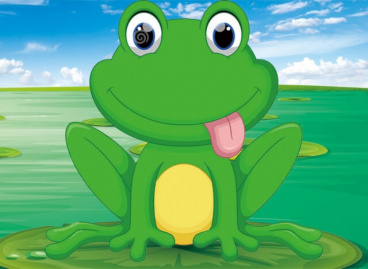 Забавный лягушонок Цветной X006, цена 732 руб. - интернет-магазин Мадам Брошкина